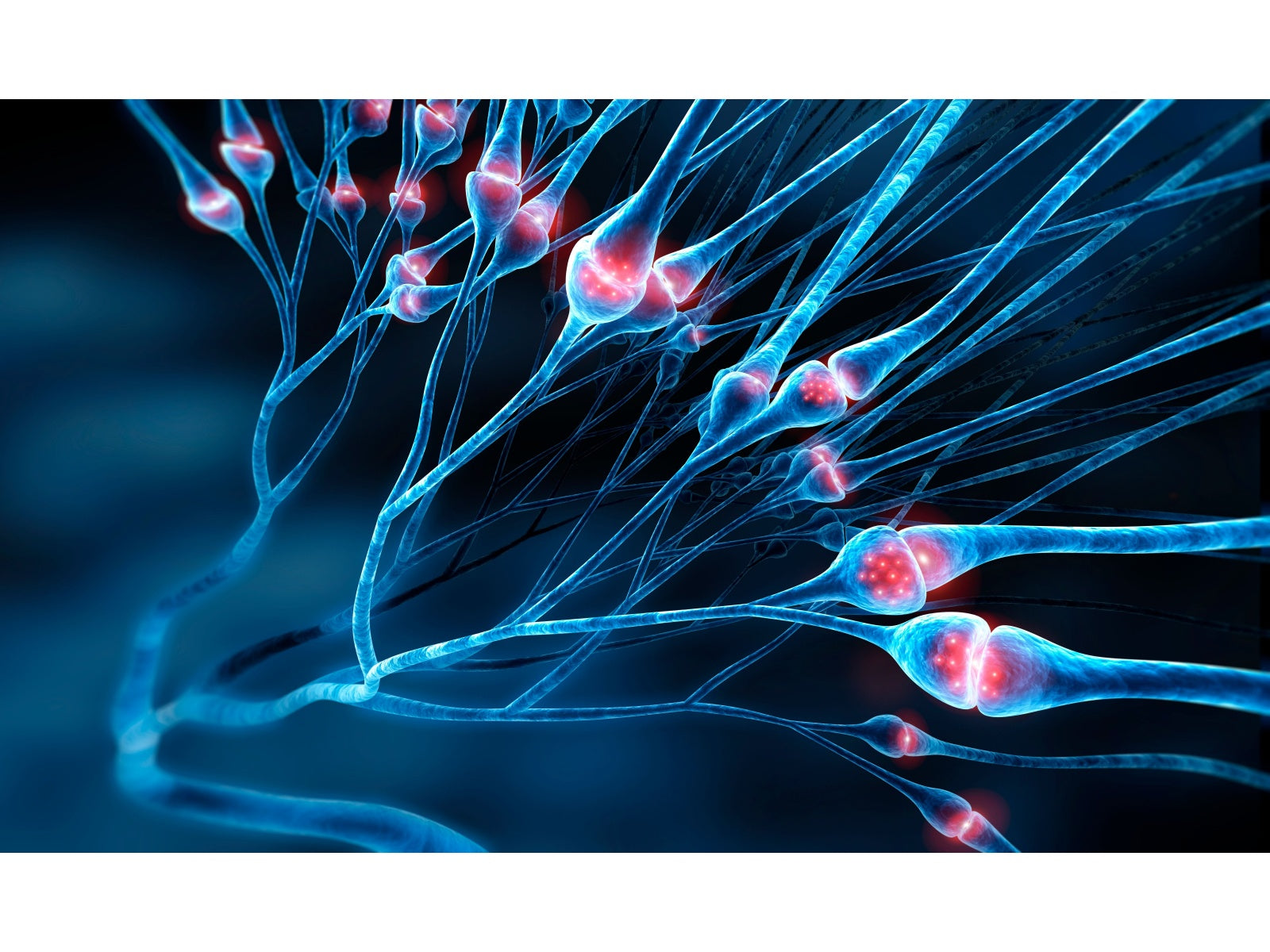 Blue neurons interconnected by glowing red synapses in a neural network