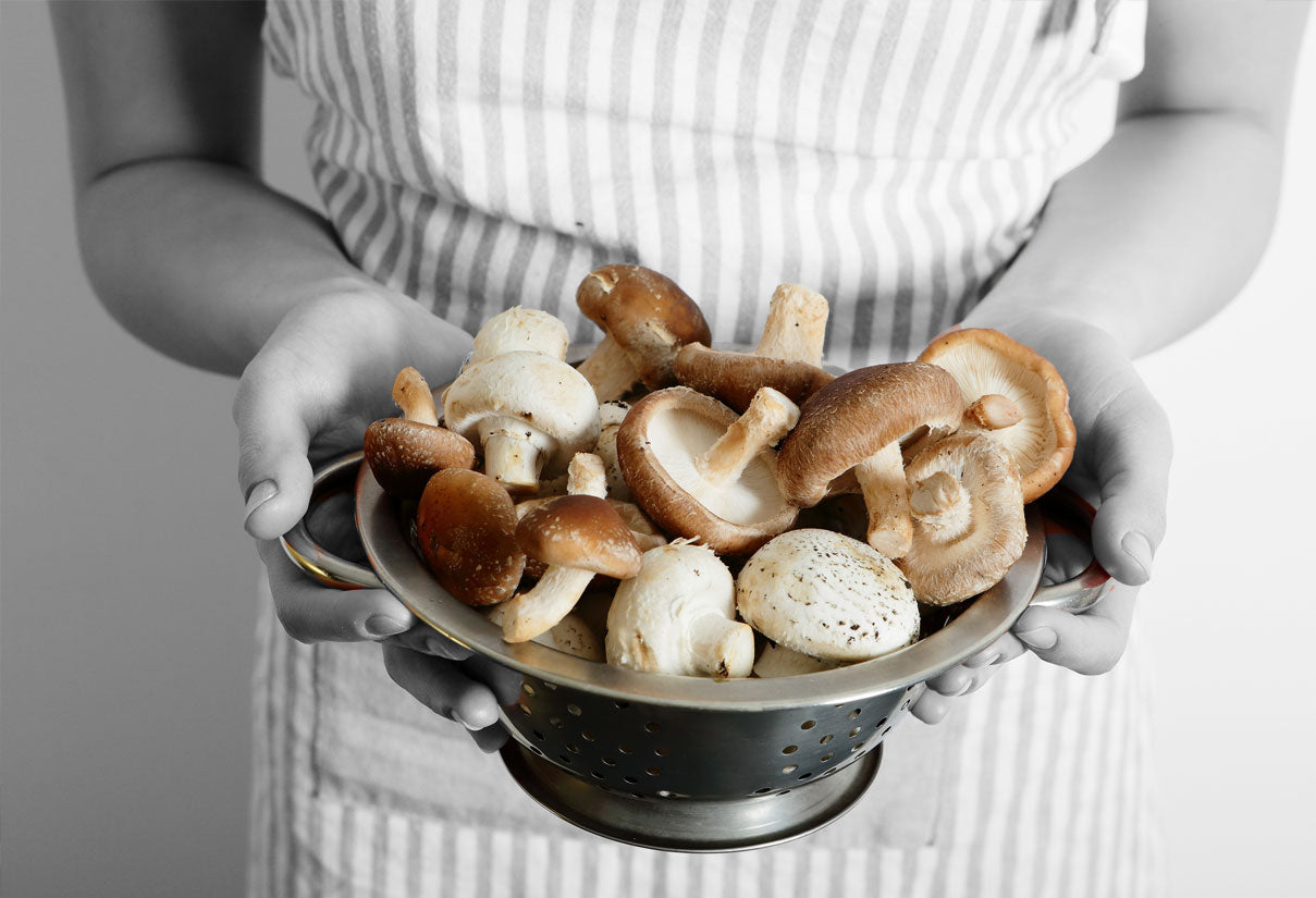 Shiitake Mushroom Benefits