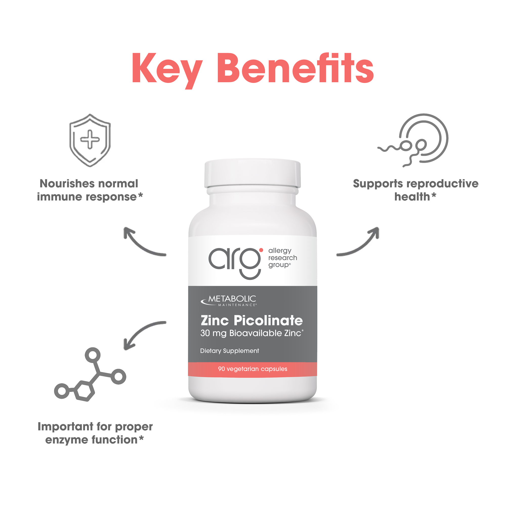 Metabolic Maintenance Zinc Picolinate bottle centered with key benefit icons around it