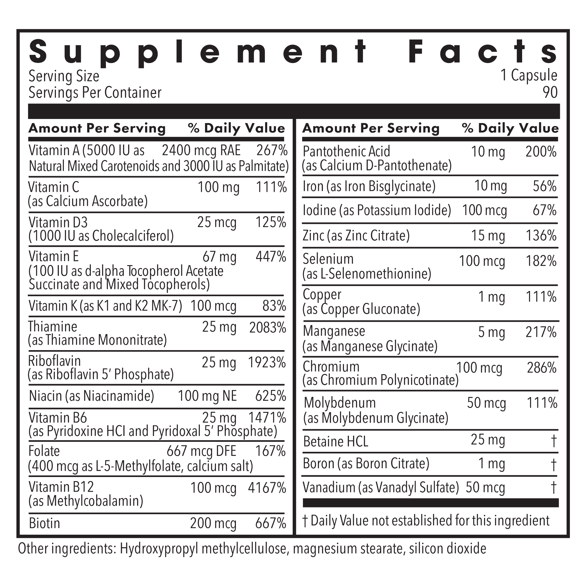 Metabolic Maintenance® The Big One® with Iron