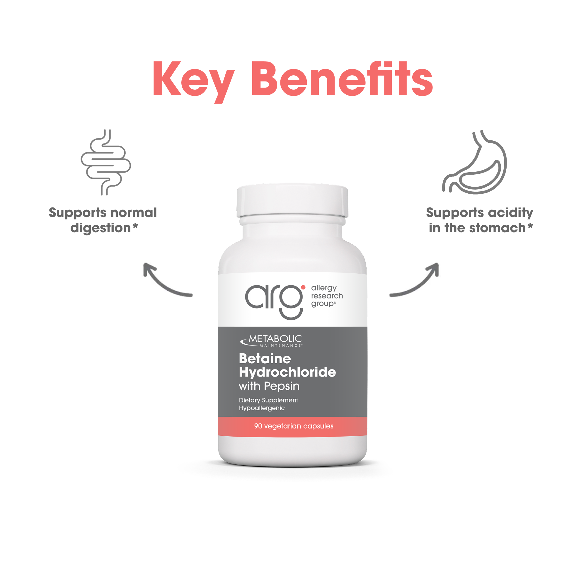 Bottle of Metabolic Maintenance Betaine Hydrochloride with Pepsin with a white cap and gray label, flanked by gut and stomach icons.