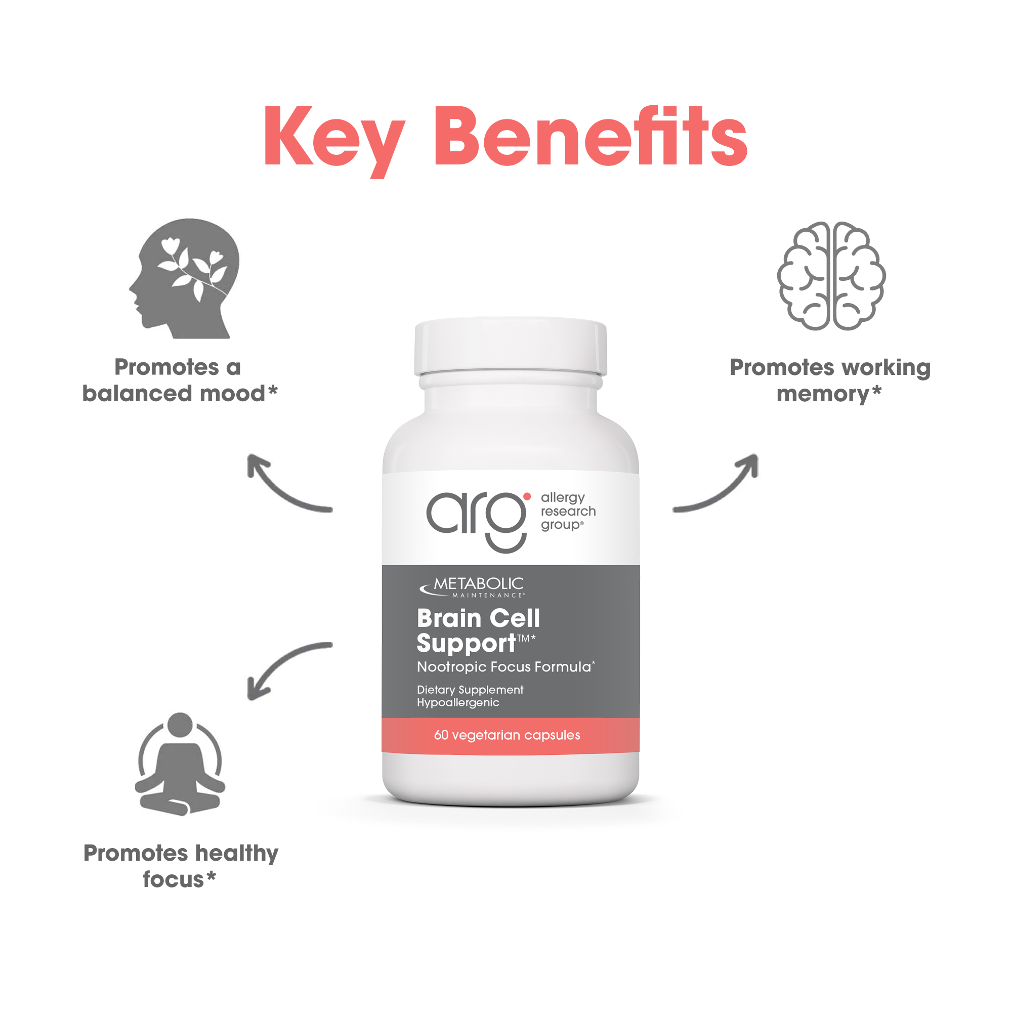 Brain Cell Support key benefits infographic for balanced mood, working memory, and healthy focus