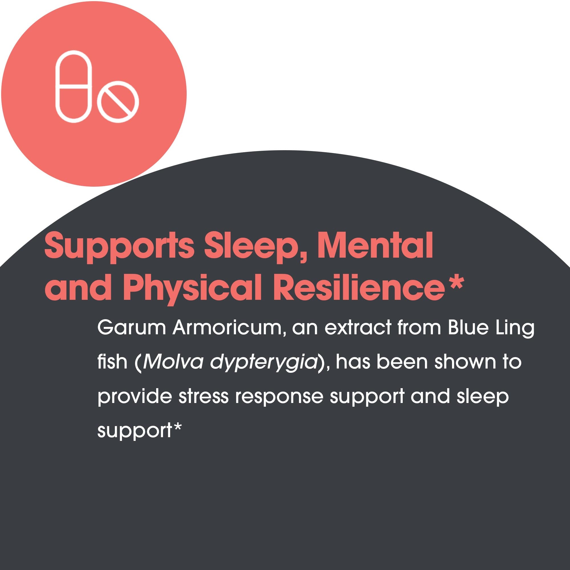 Stabilium® 200 Garum Armoricum® - ingredient benefits overview