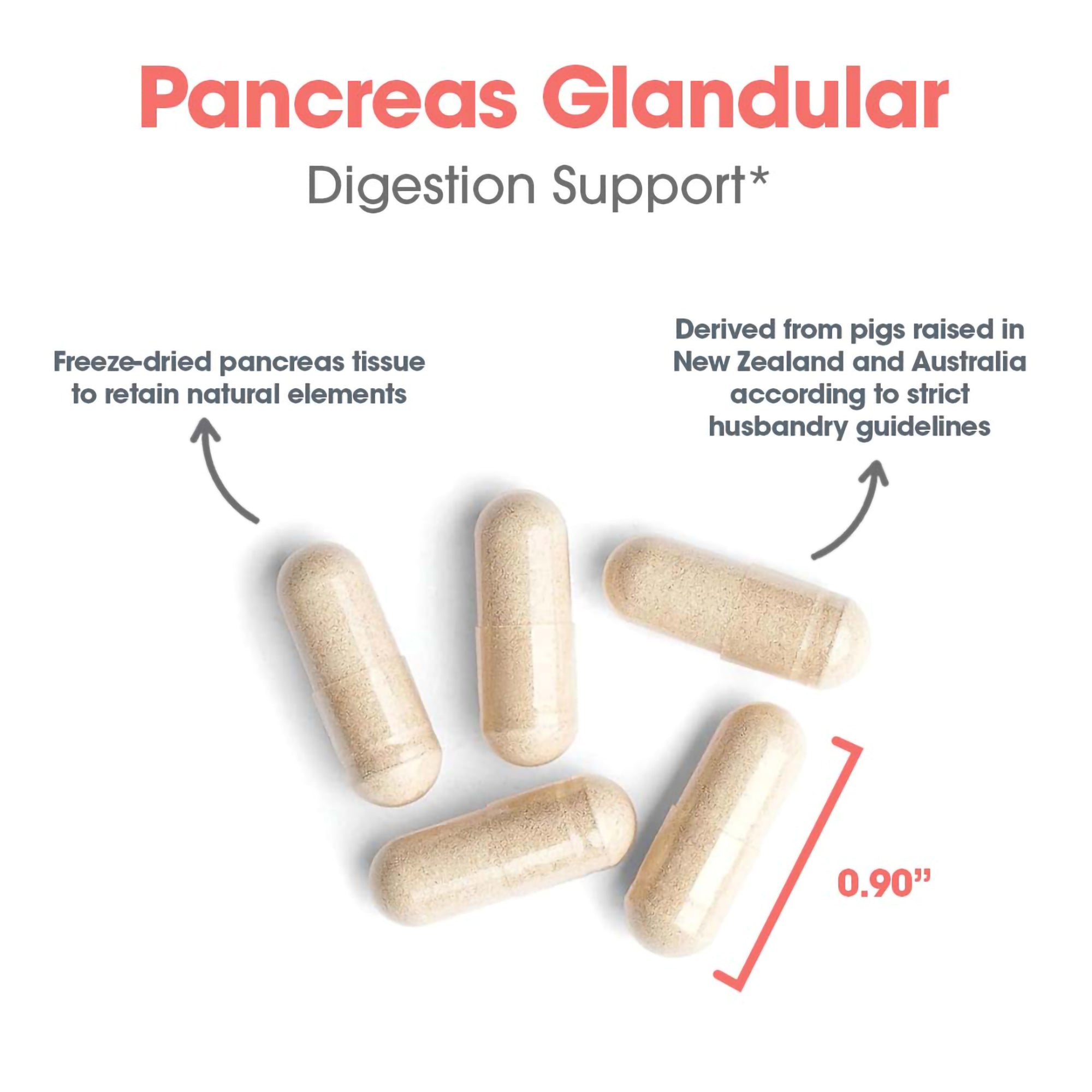Pancreas Pork - capsule size and composition with freezed-dried pancreas tissue