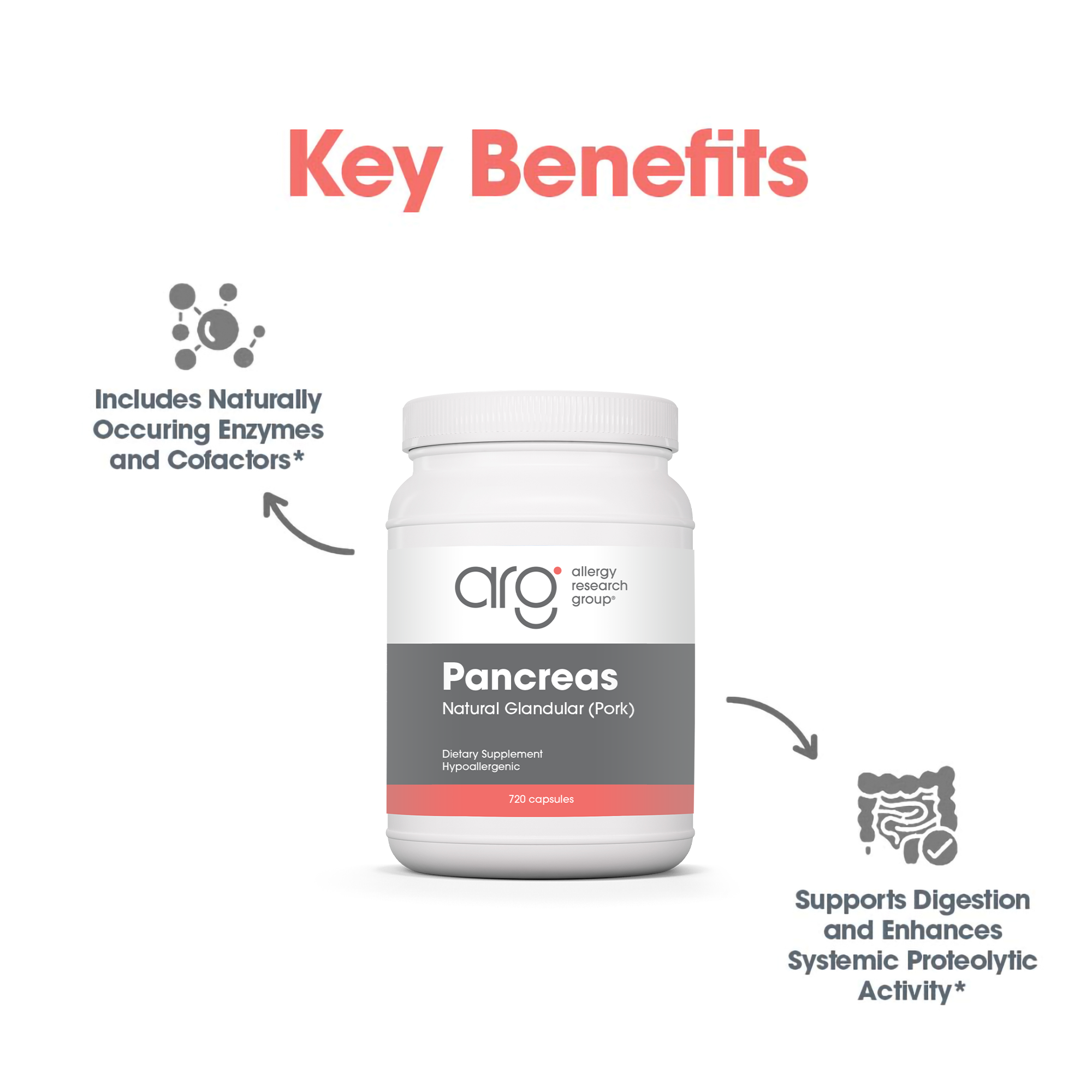Key benefits graphic for Pancreas Pork natural glandular supplement supporting pancreatic and digestive function