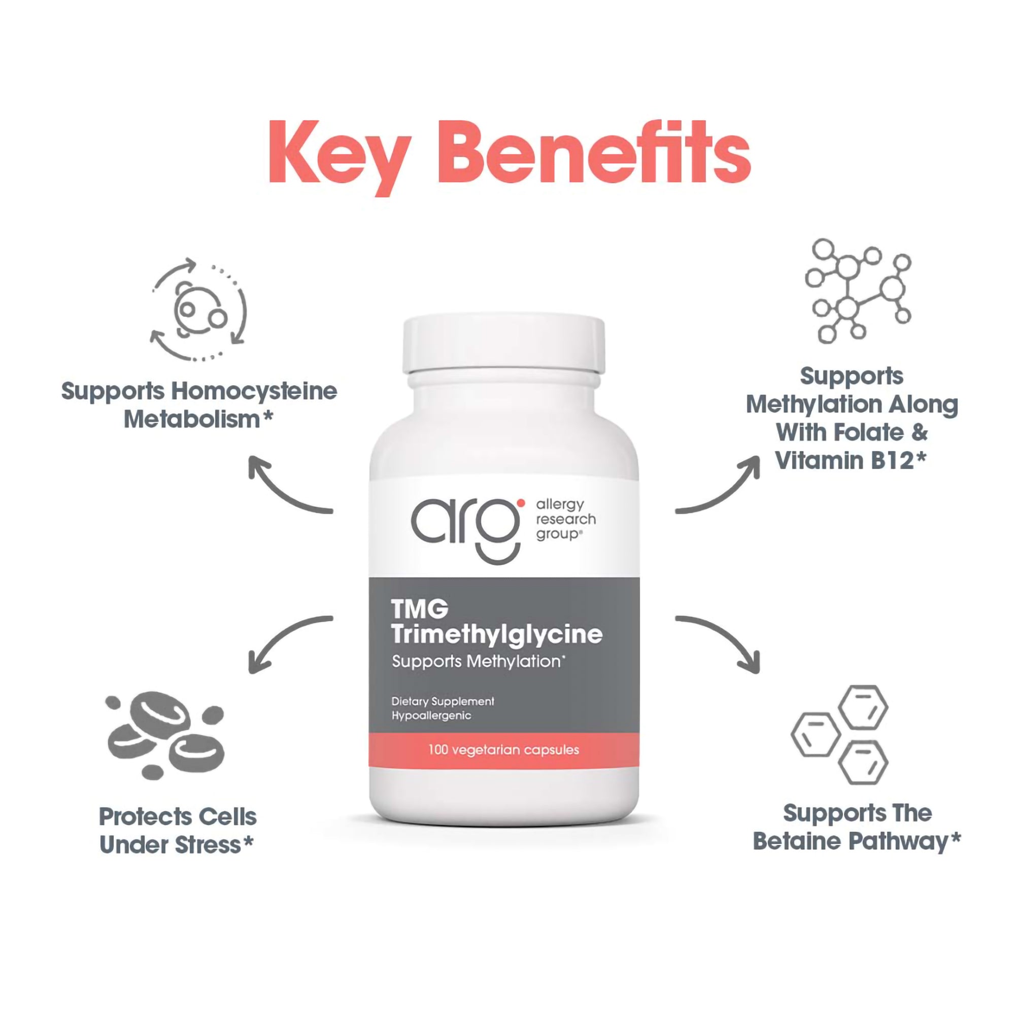 TMG - key benefits including Homocysteine metabolism support