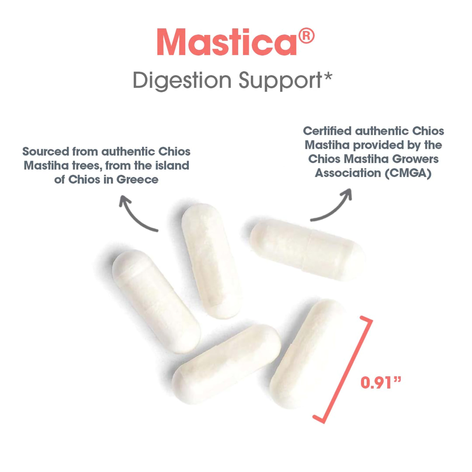 Mastica® - capsule size and composition with authentic Chios Mastiha trees