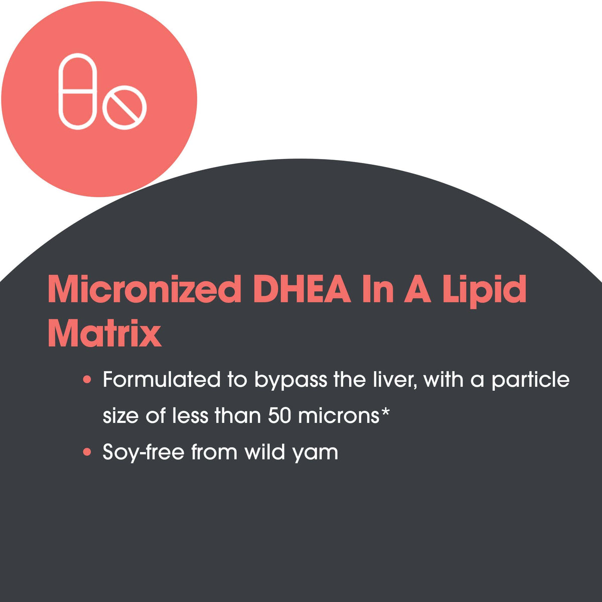 DHEA 10 mg - Micronized DHEA ingredient benefits overview
