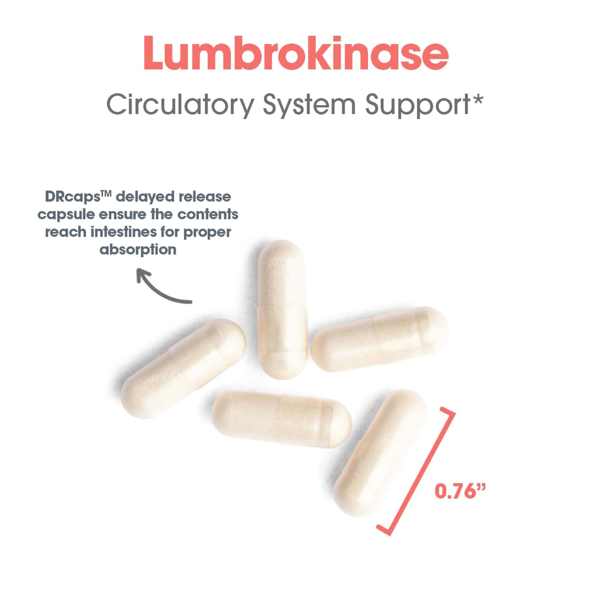 Lumbrokinase Circulatory System Support* - capsule size and composition