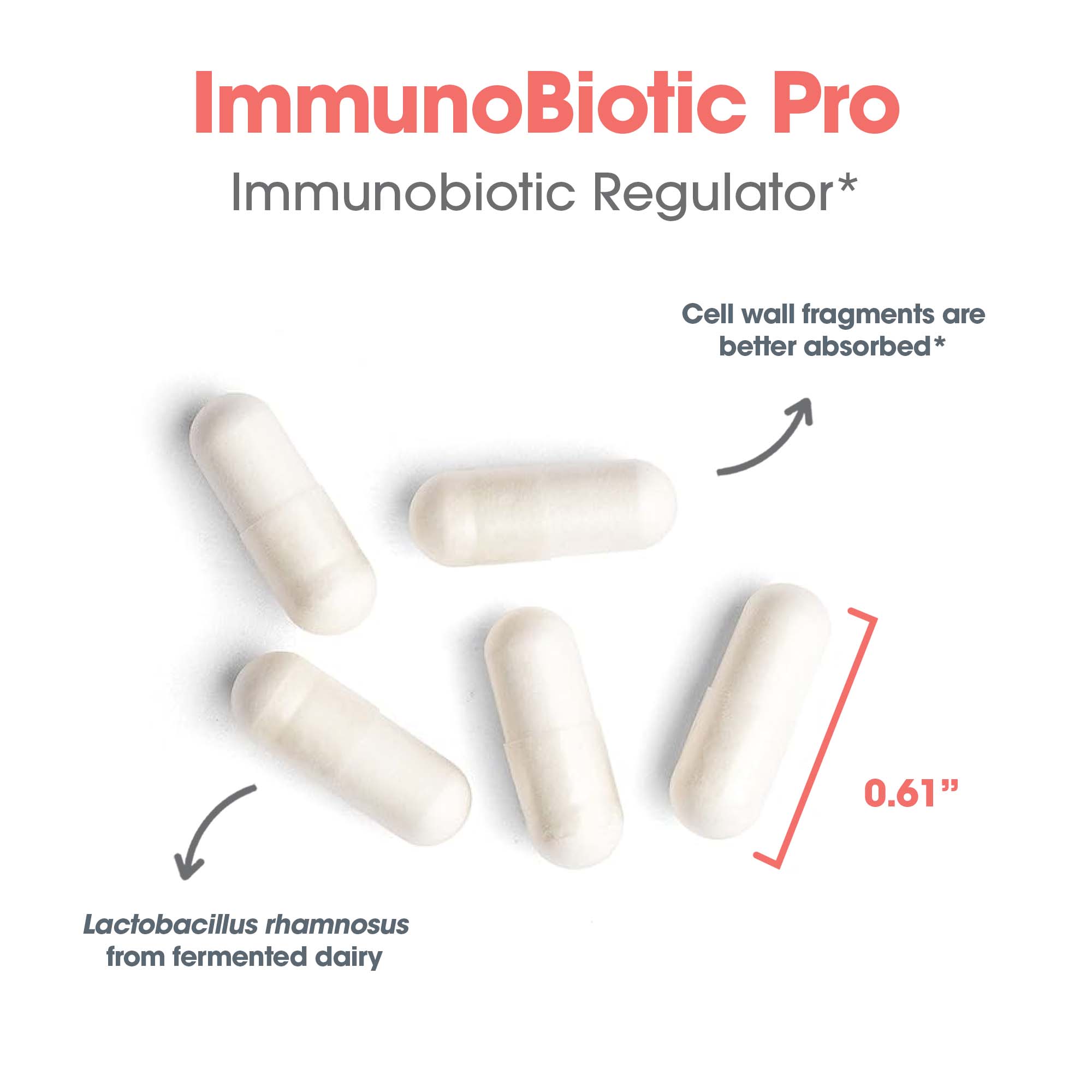 ImmunoBiotic Pro - capsule size and composition with Lactobacillus rhamnosus