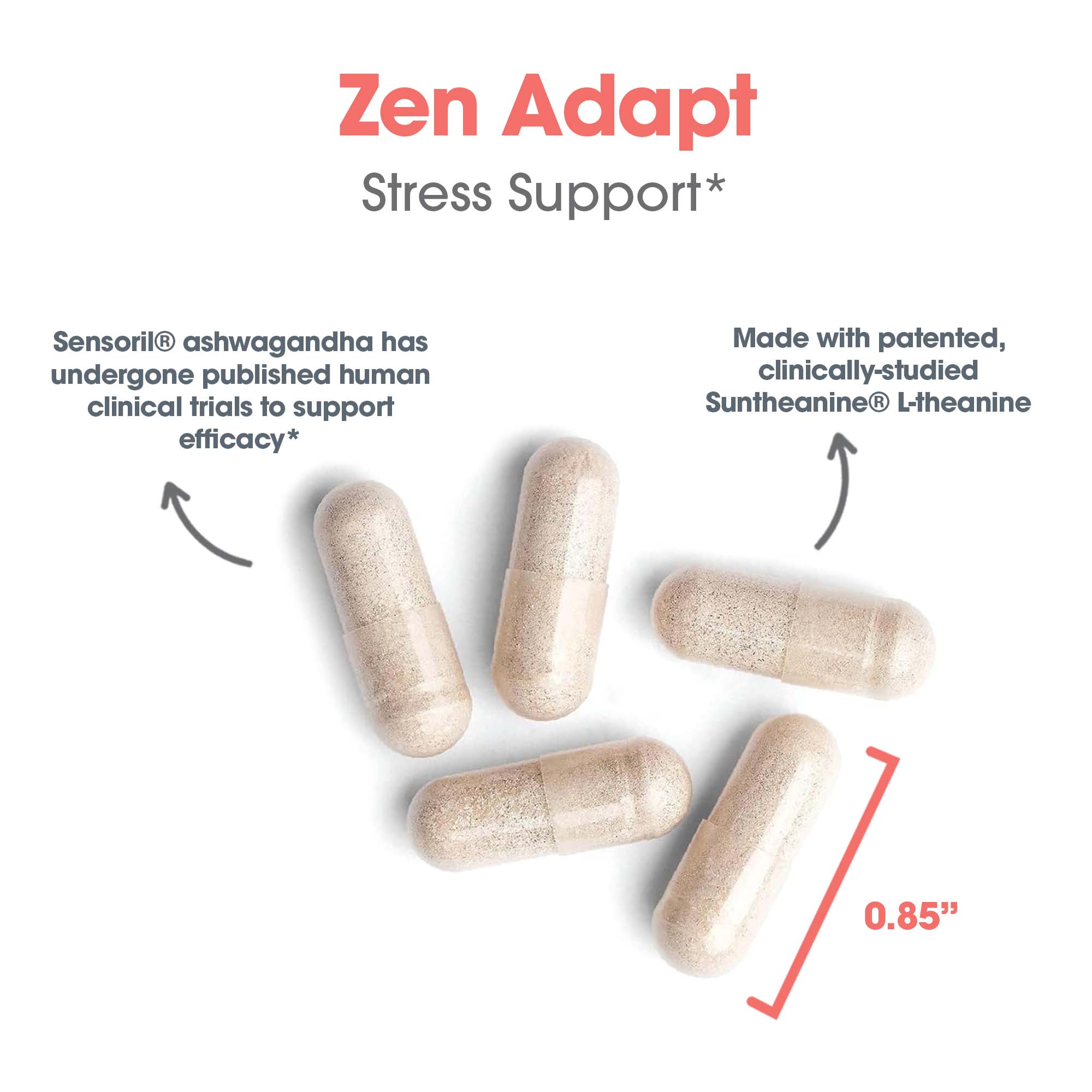 Zen Adapt - capsule size and composition with ashwagandha
