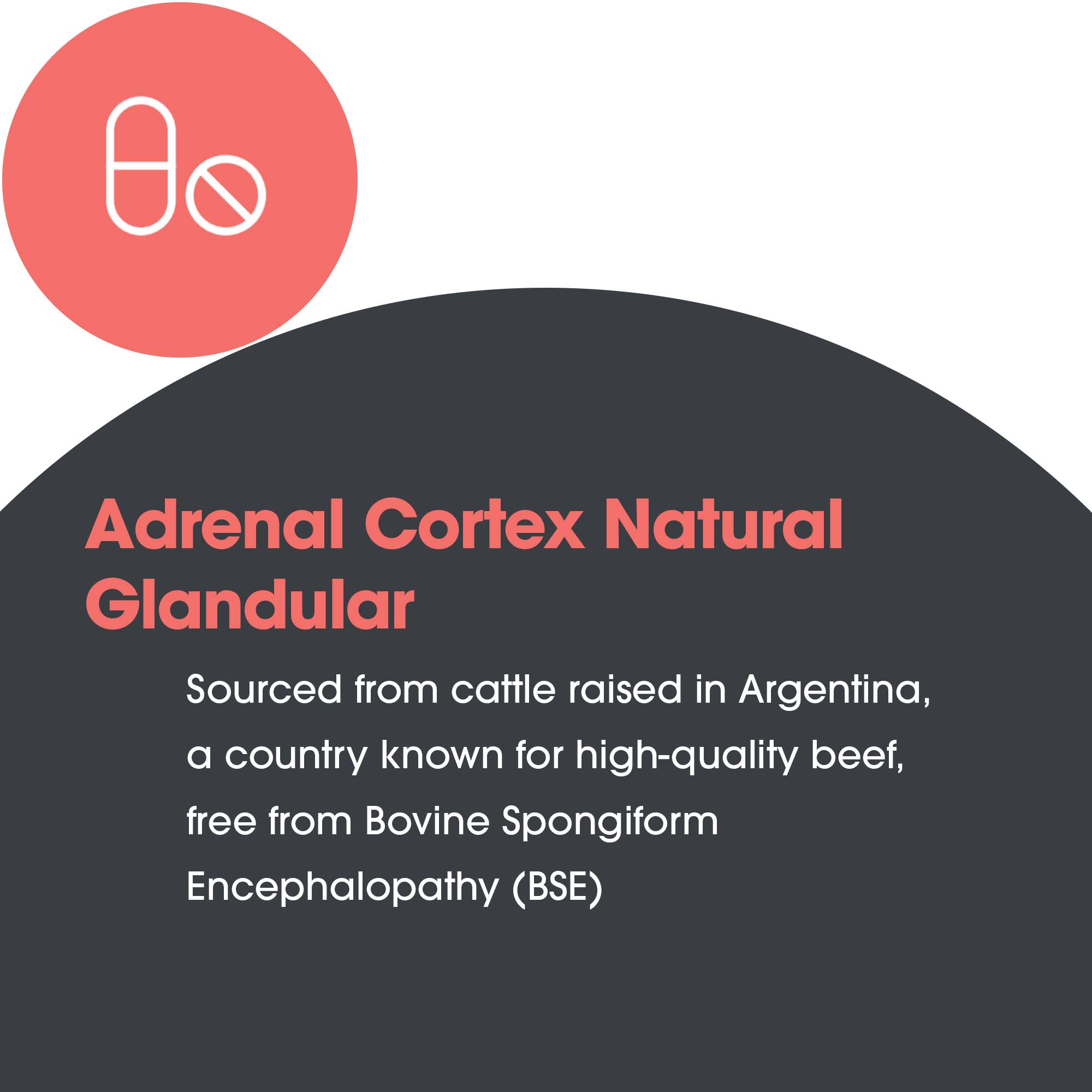 Ingredient spotlight graphic for Adrenal Cortex natural glandular supplement featuring freeze-dried adrenal cortex