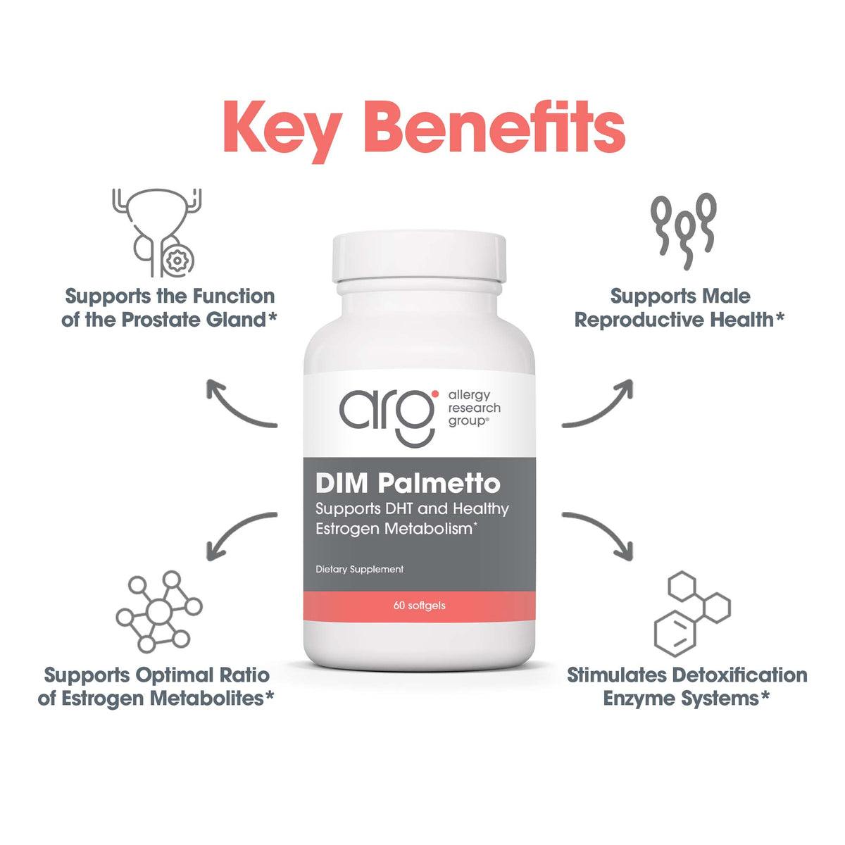 DIM Palmetto key benefits graphic for prostate gland function, male reproductive health, and estrogen metabolism