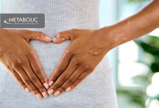 Estrobolome Gut Health and Hormones