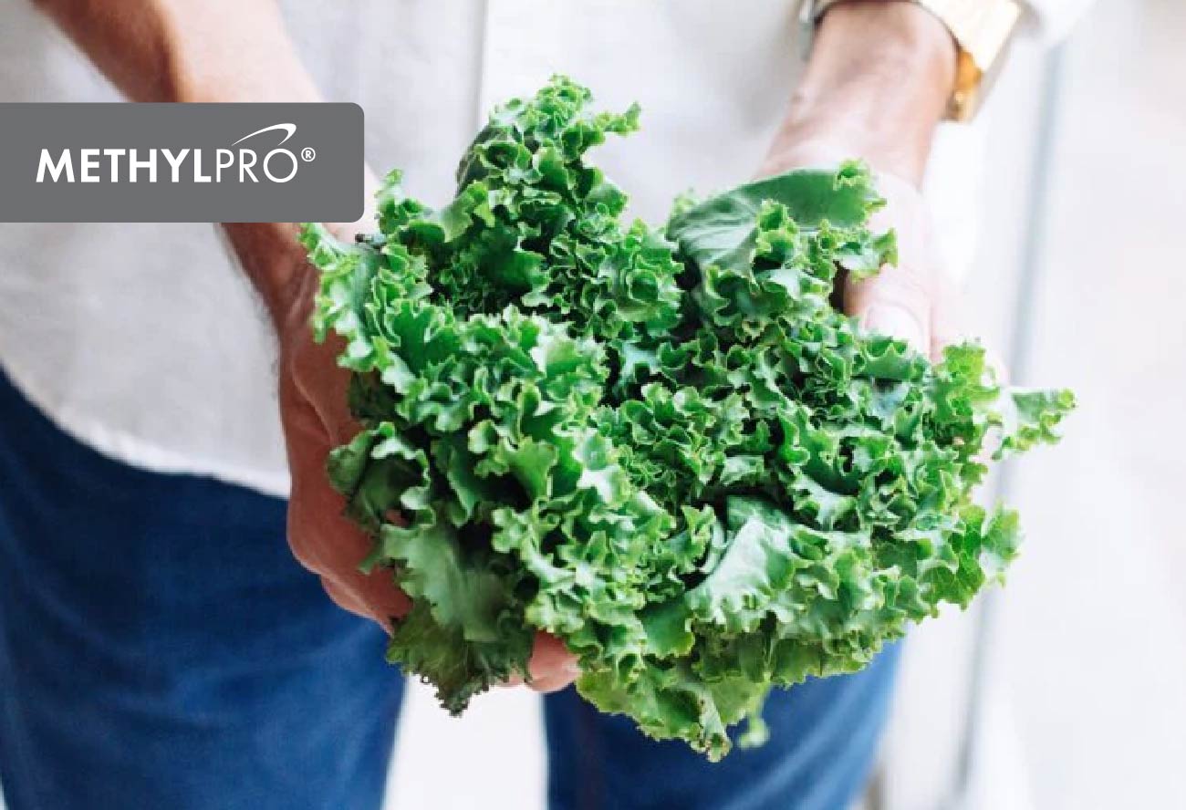 Foods High in Folate