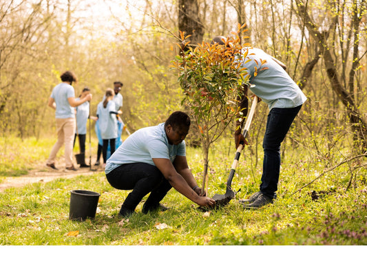 How Volunteering Benefits Your Mental Well-Being