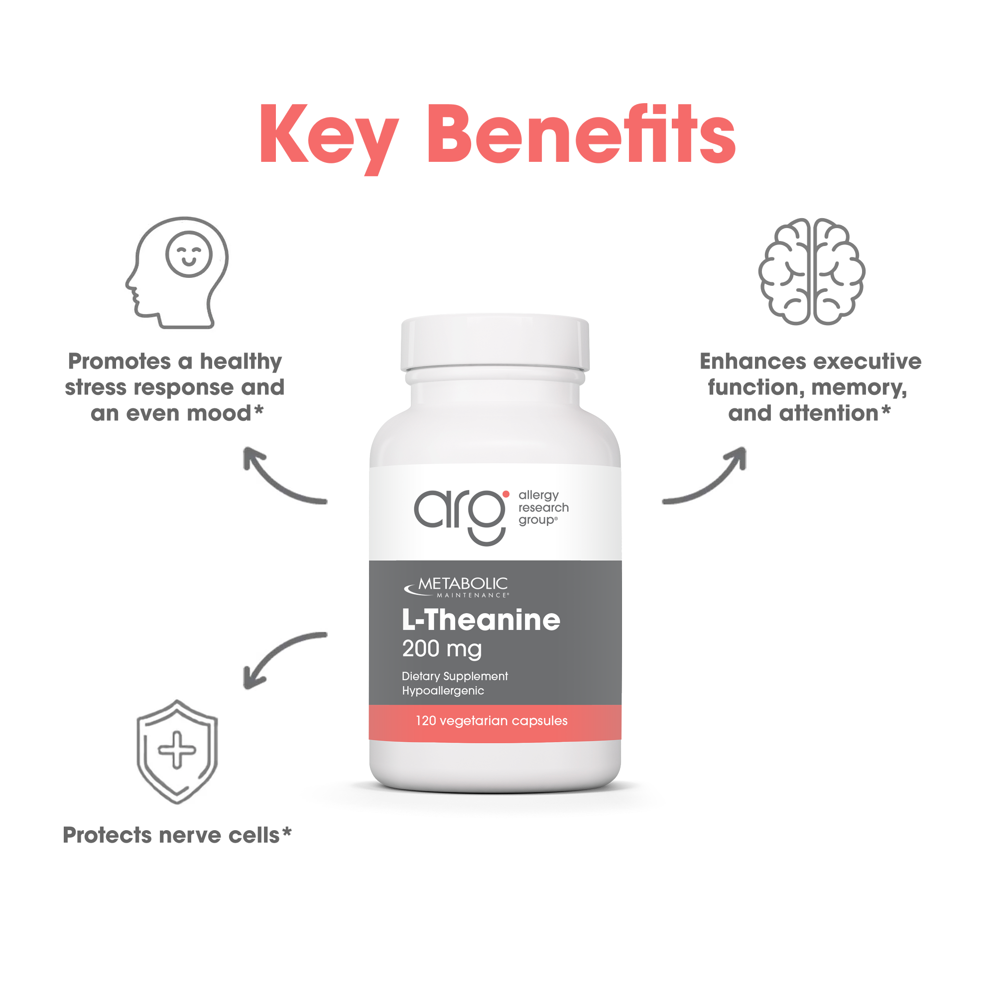 Metabolic Maintenance L-Theanine 200 mg dietary supplement bottle with 120 capsules