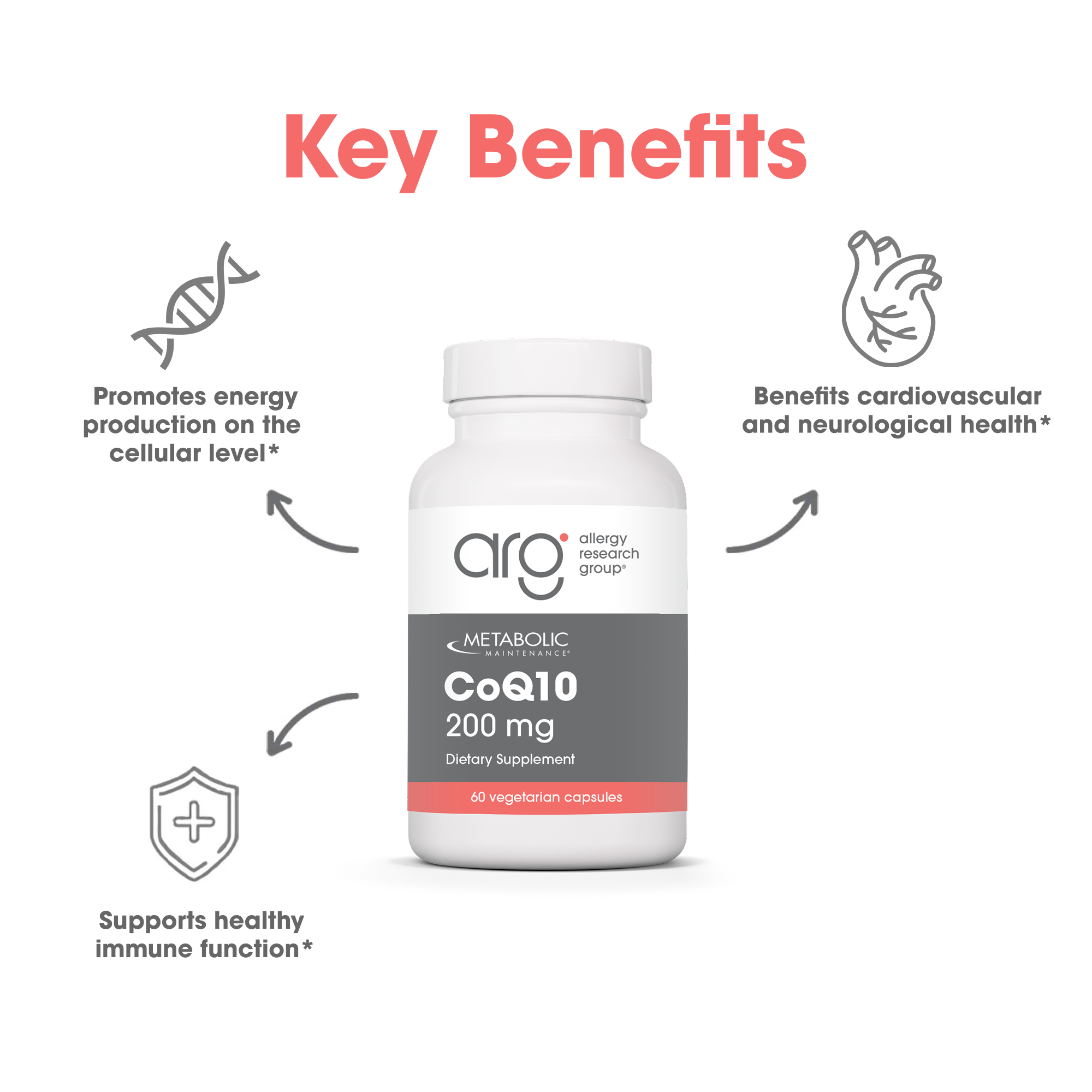 coq10 with l carnitine benefits Vitamins That Can Help Boost Fertility main image 0