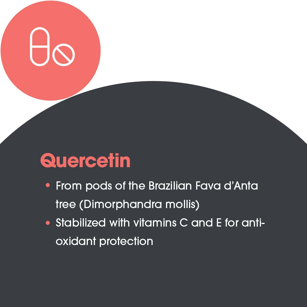 Ingredient overview graphic for Quercetin 300 showing quercetin antioxidant and immune support benefits