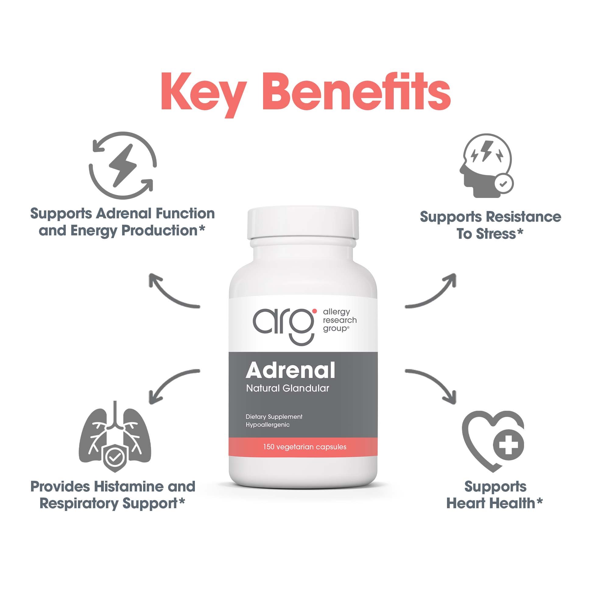 Adrenal – key benefits including heart support and resistance to stress