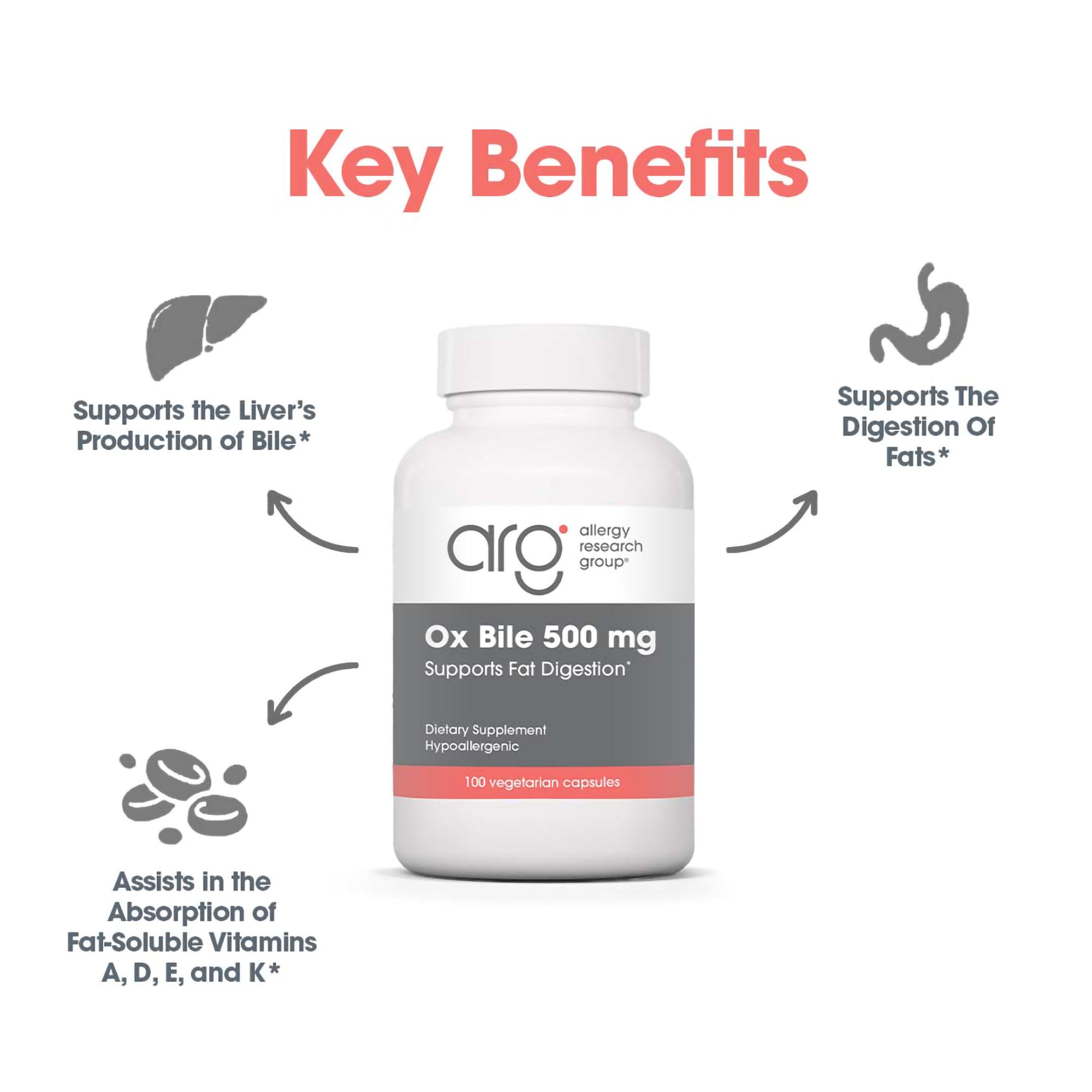 Ox Bile 500 mg - key benefits including absorption of fat-soluble vitamins A,D,E, and K