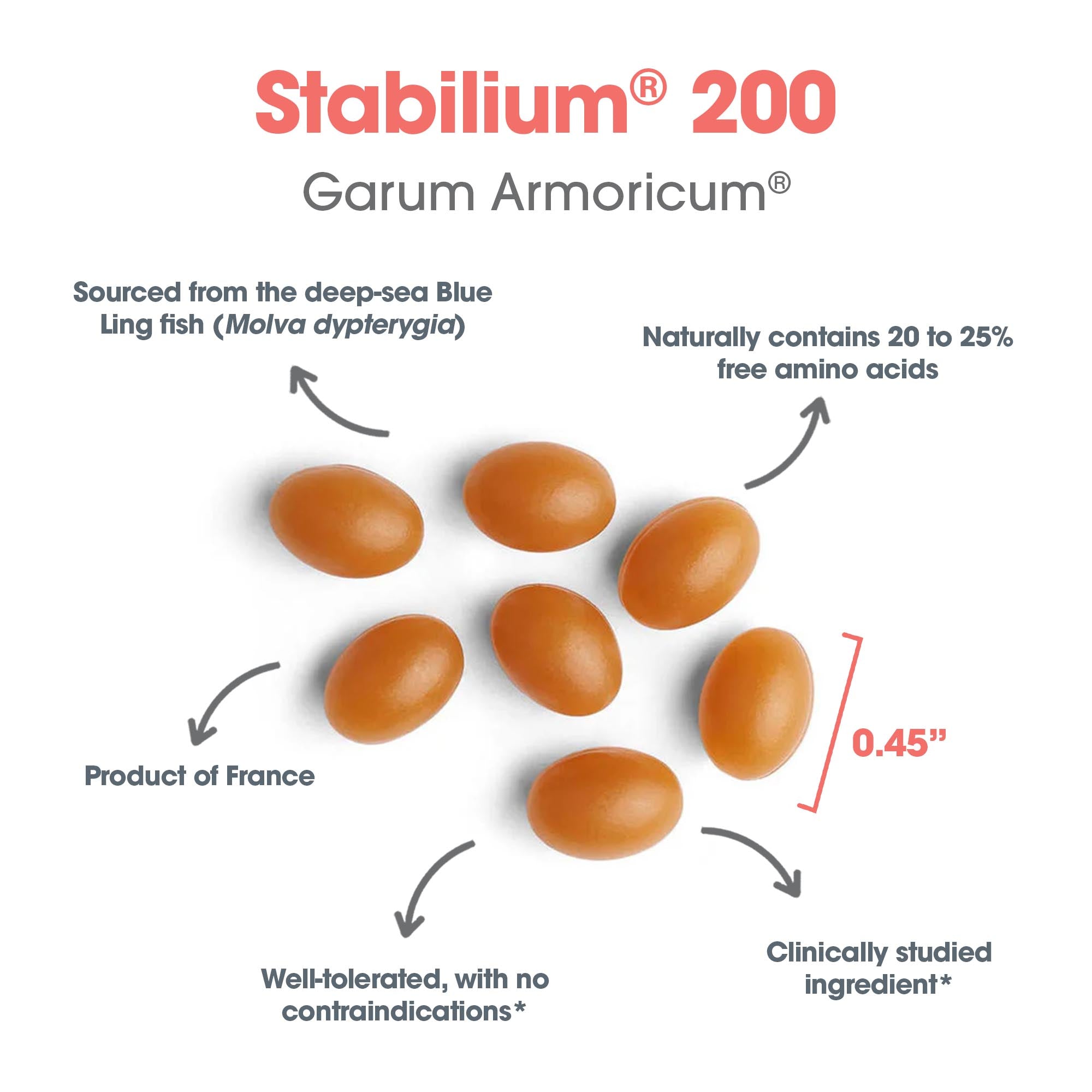 Stabilium® 200 Garum Armoricum® - capsule size and composition with 20 to 25% free amino acids