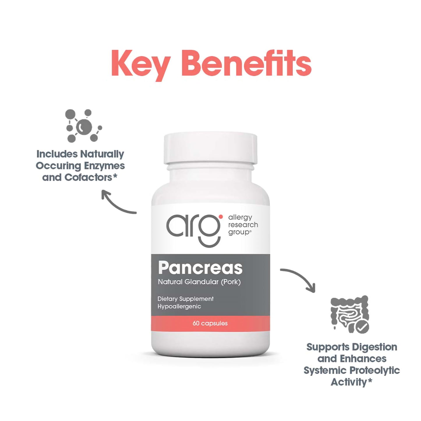 Pancreas Pork 60 Capsules