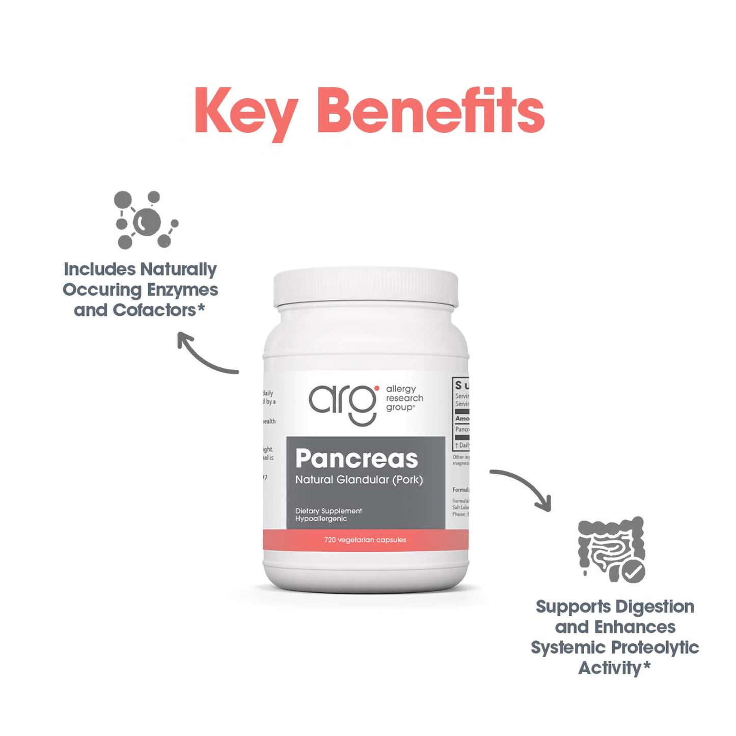 Pancreas Supplement - Pork Glandular | Allergy Research Group
