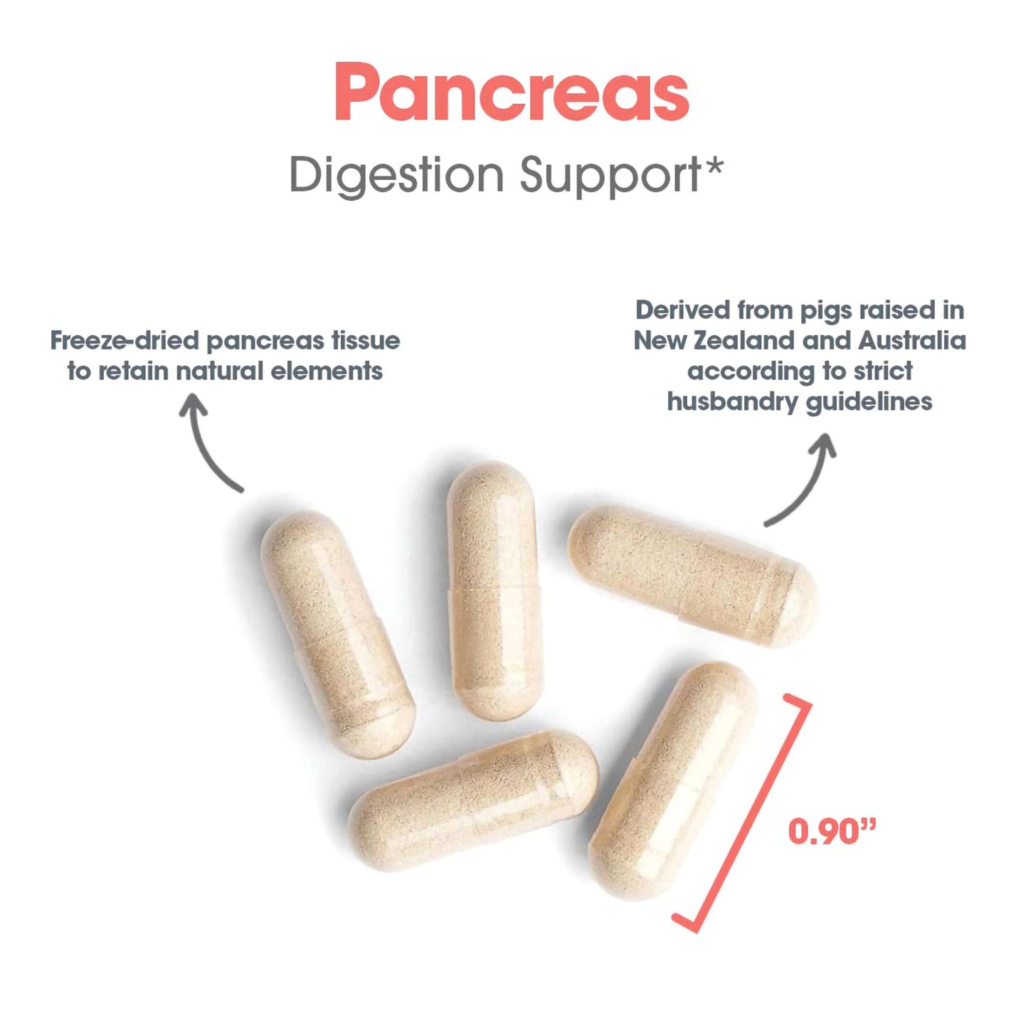 Pancreas Supplement - Pork Glandular | Allergy Research Group