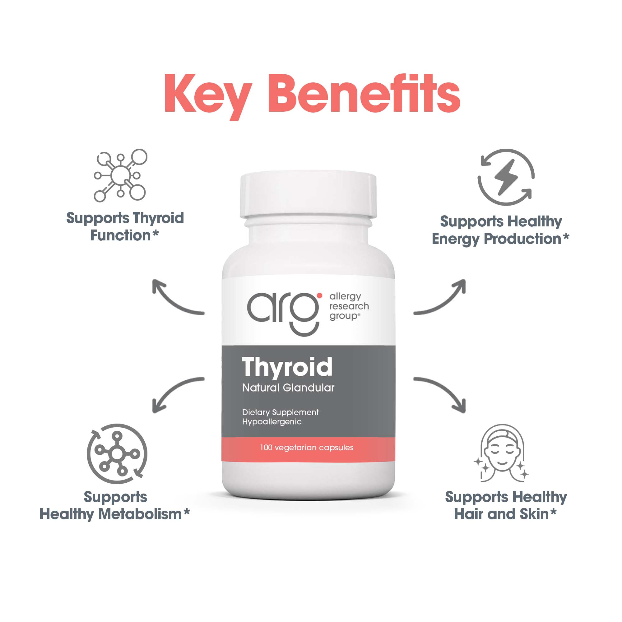 Thyroid - key benefits including healthy metabolism and thyroid function support 