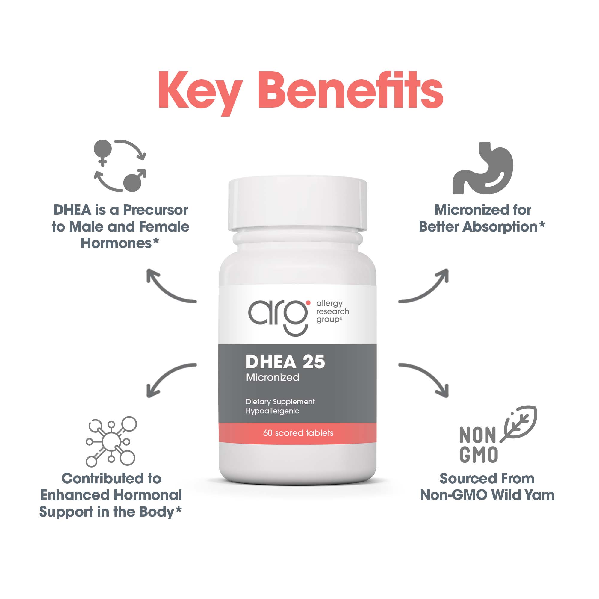 DHEA 25 mg - key benefits including hormonal support in the body