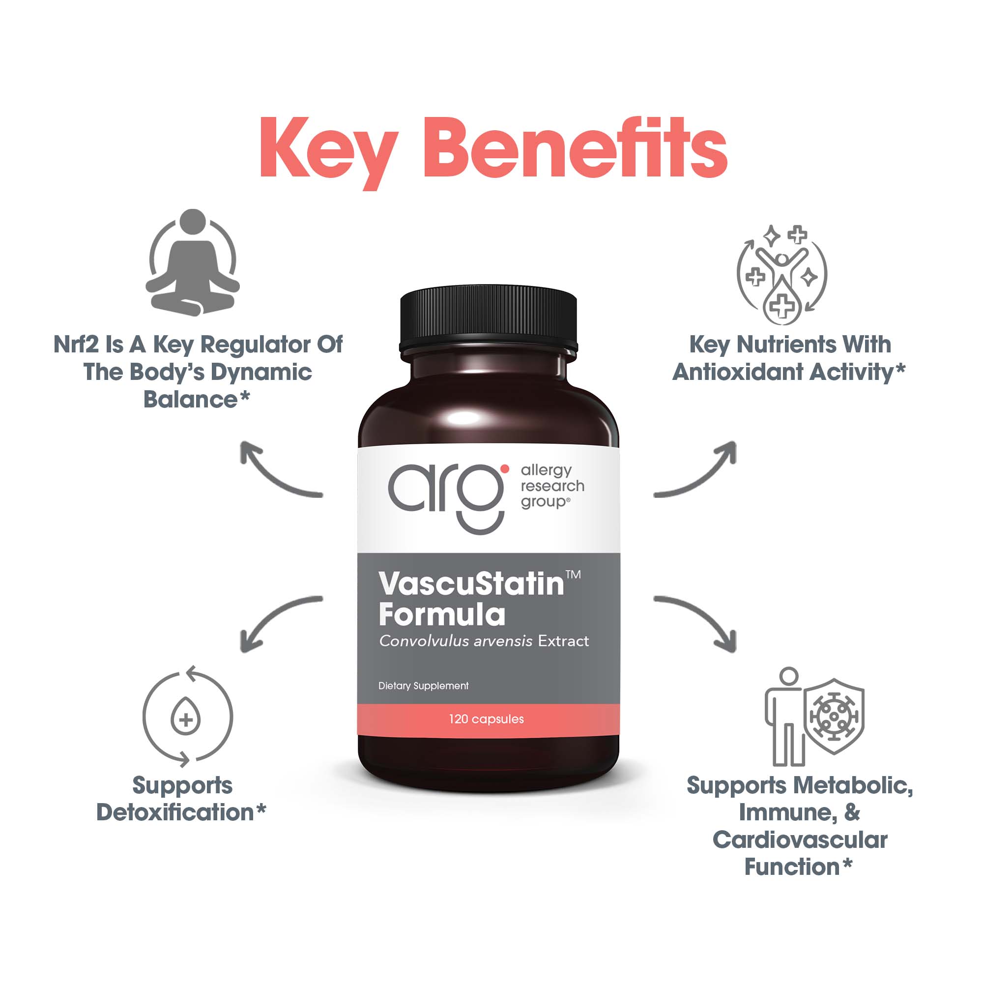 VascuStatin™ Formula - key benefits including detoxification support