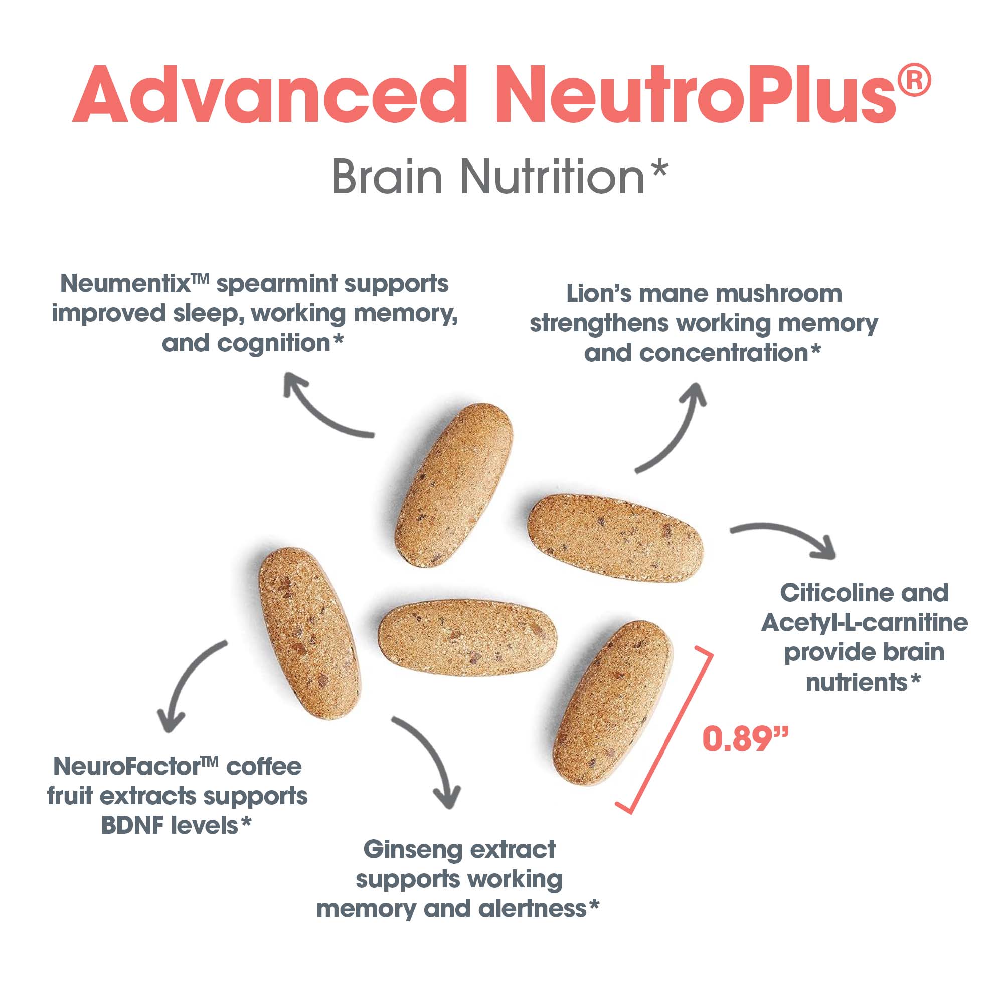 Neuronz Plus Brain Support Supplement | Allergy Research Group