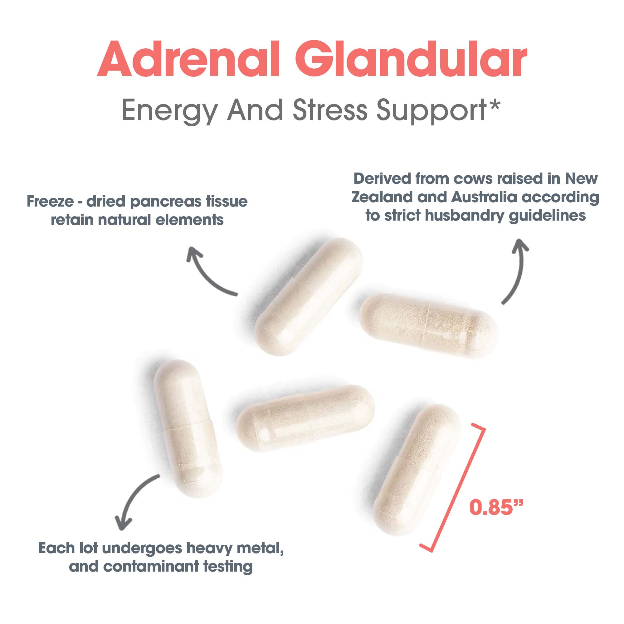 Adrenal Natural Glandular capsule size graphic highlighting adrenal tissue sourcing, stress support, heavy metal testing, and 0.85 inch capsules