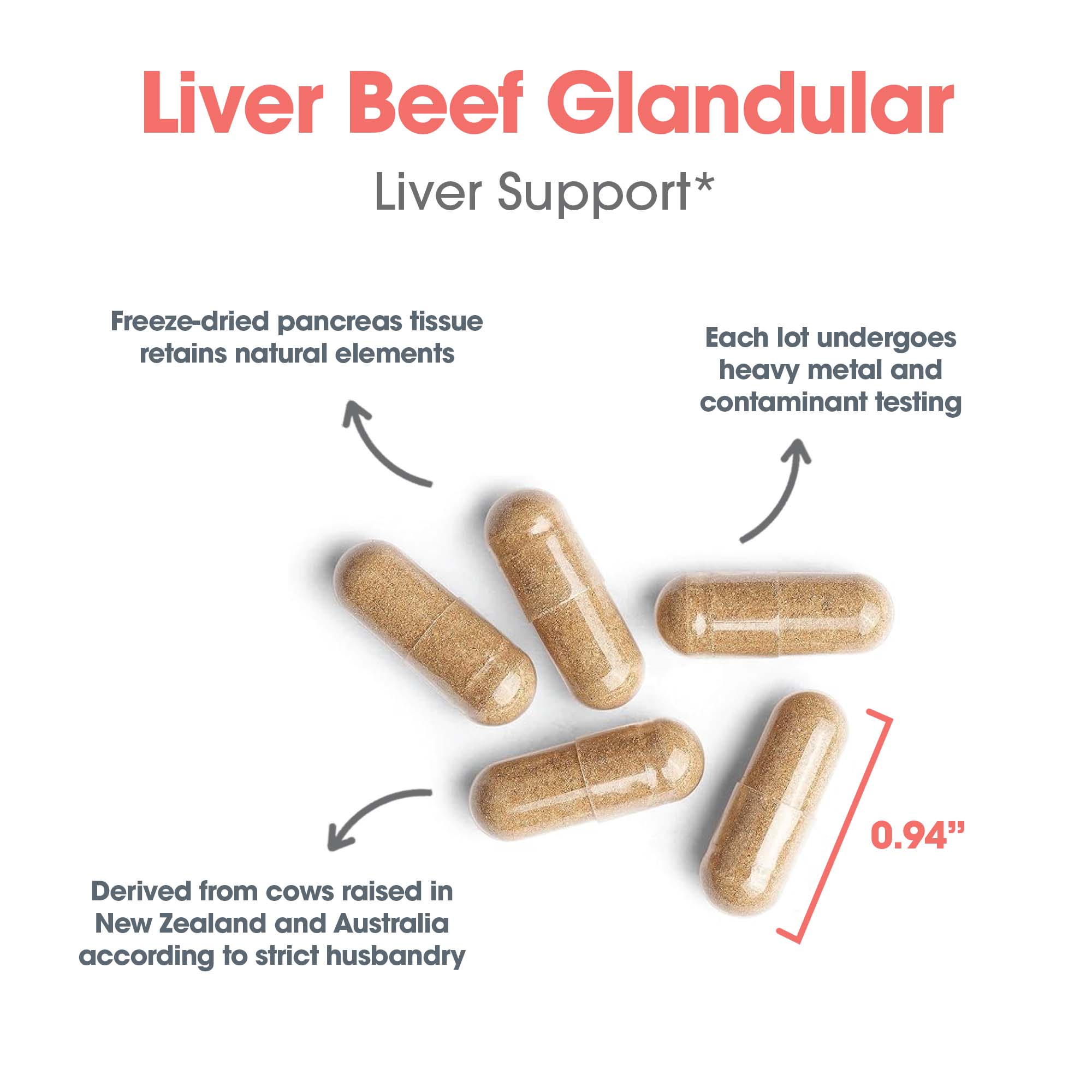 Ingredient spotlight graphic for Liver Beef natural glandular supplement featuring freeze-dried beef liver