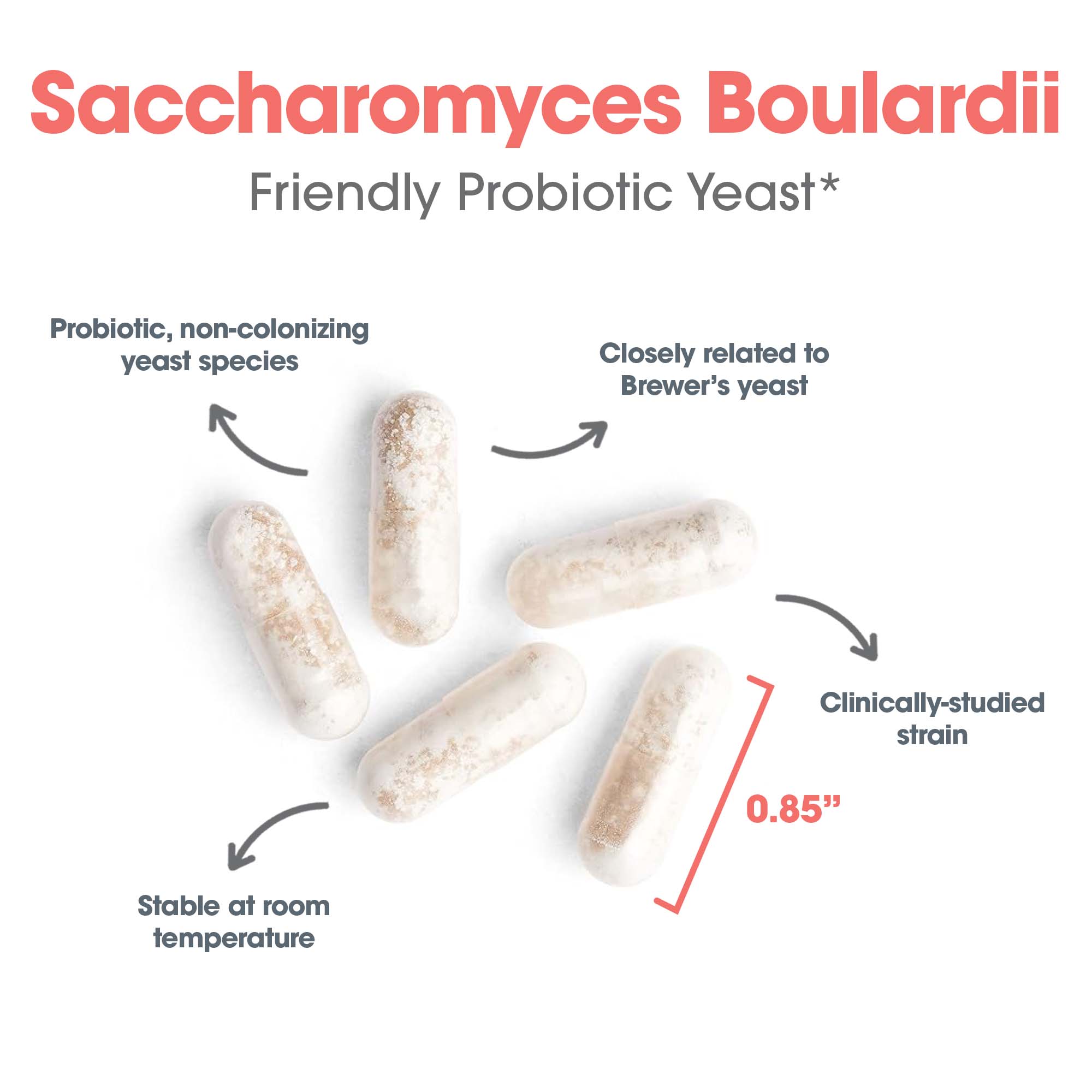Key benefits graphic for Essential-Biotic Saccharomyces Boulardii probiotic supporting gut flora balance and digestive health