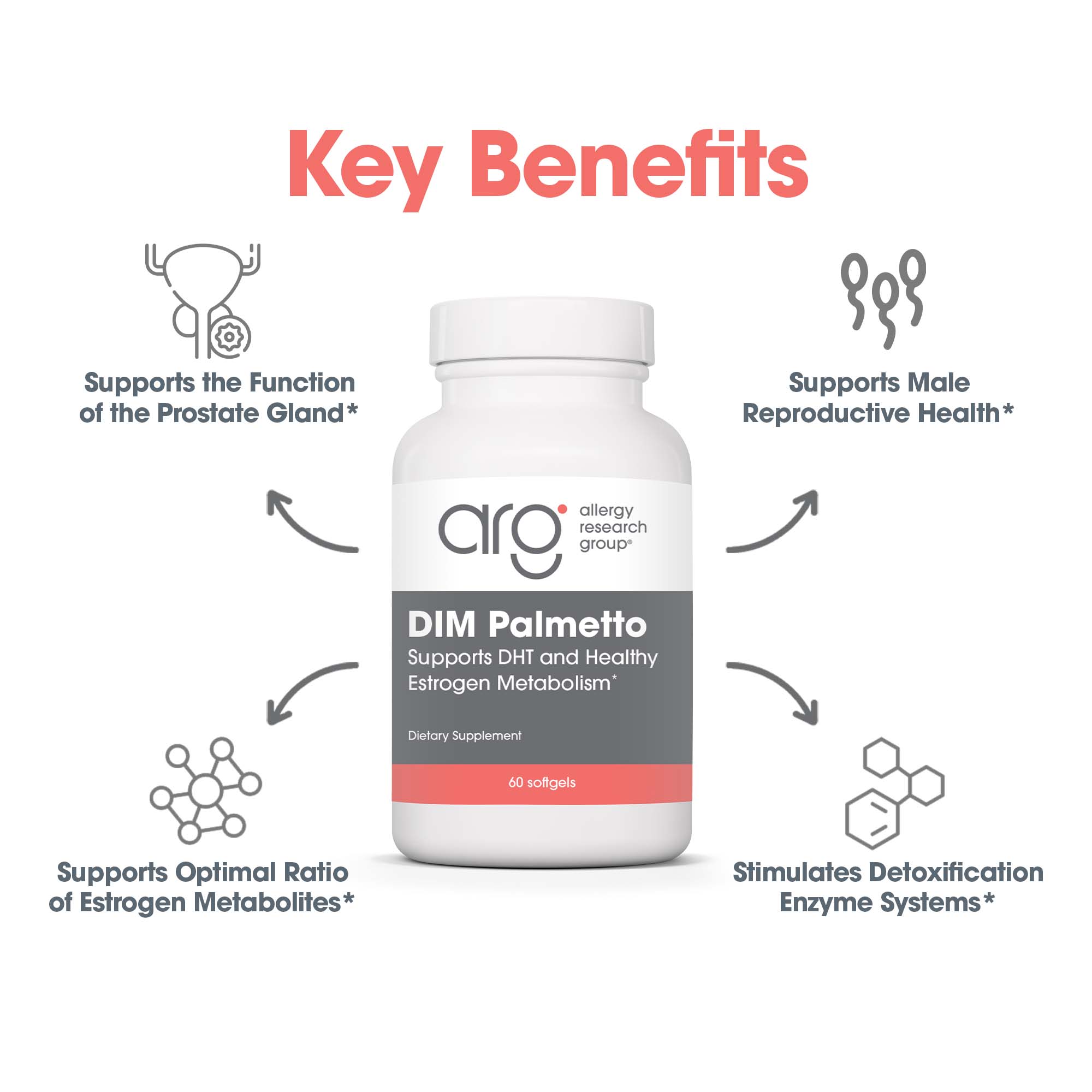 DIM Palmetto key benefits graphic for prostate gland function, male reproductive health, and estrogen metabolism