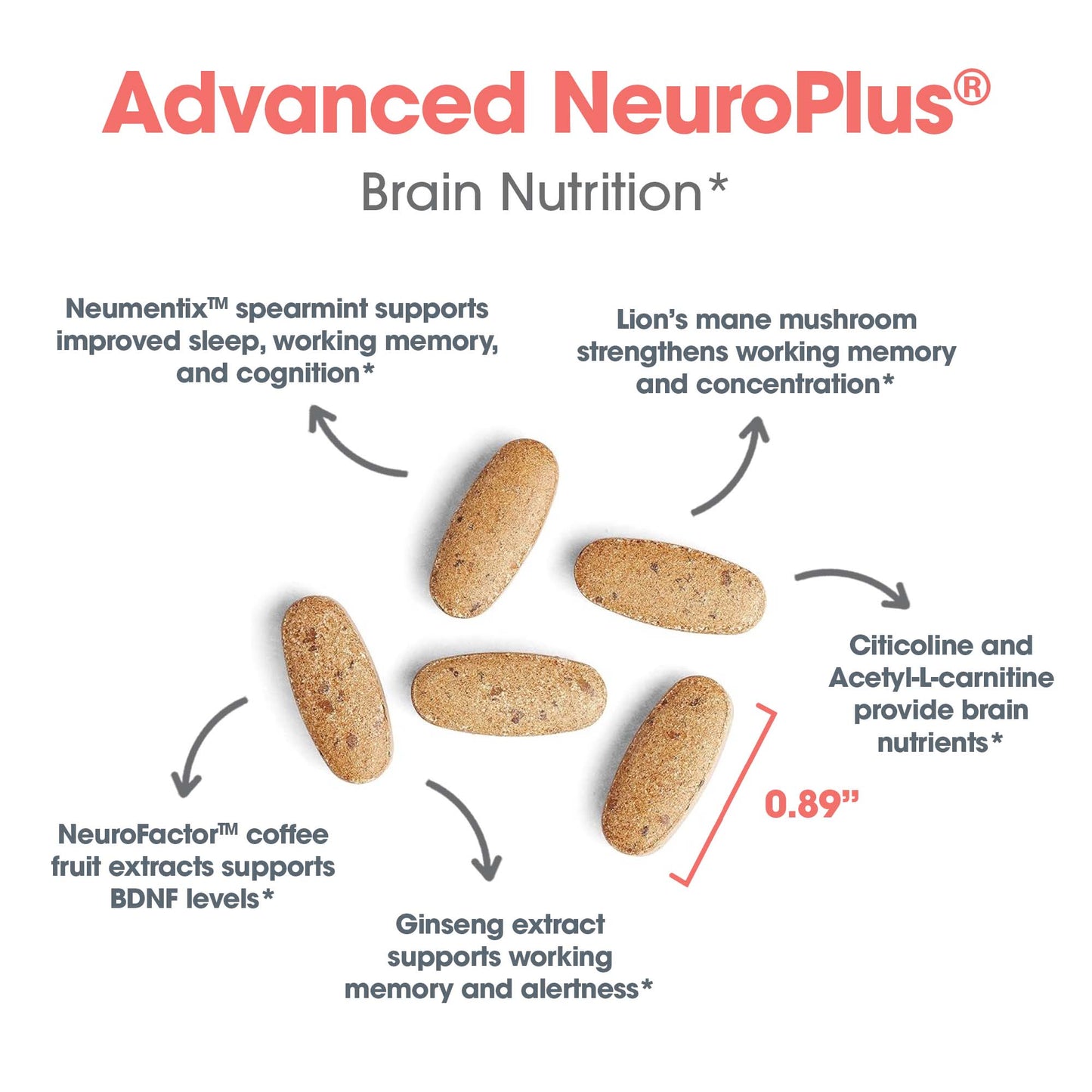 Advanced NeuroPlus®