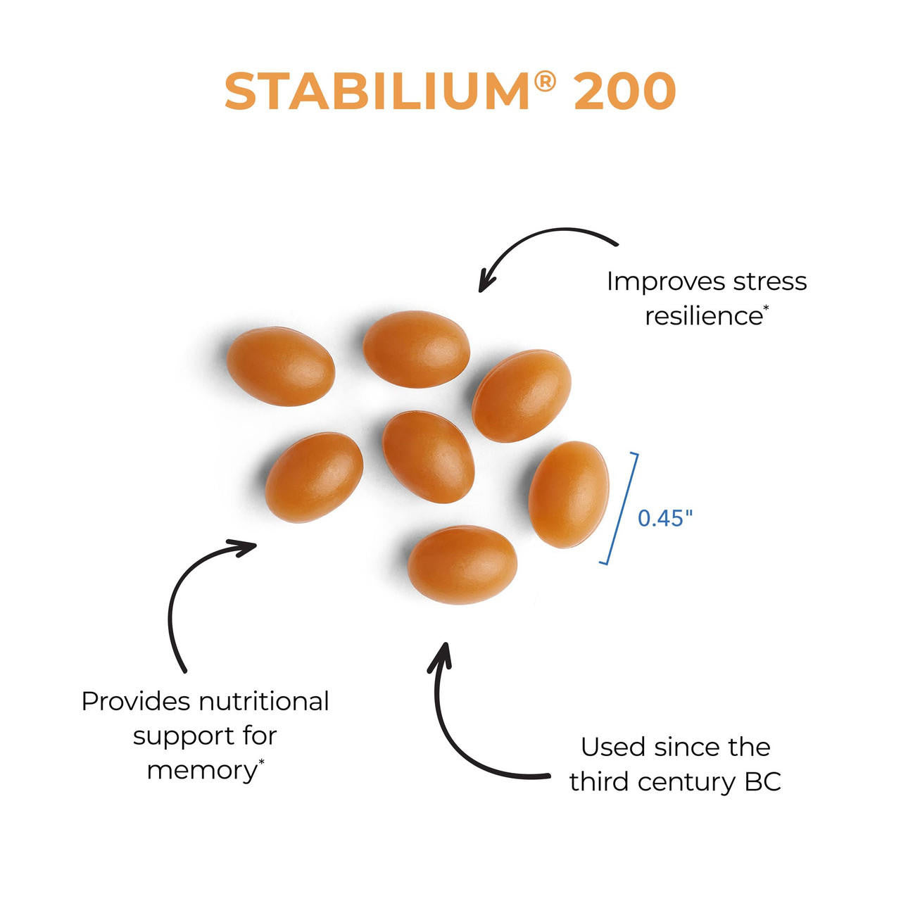 Stabilium® 200 Garum Armoricum®